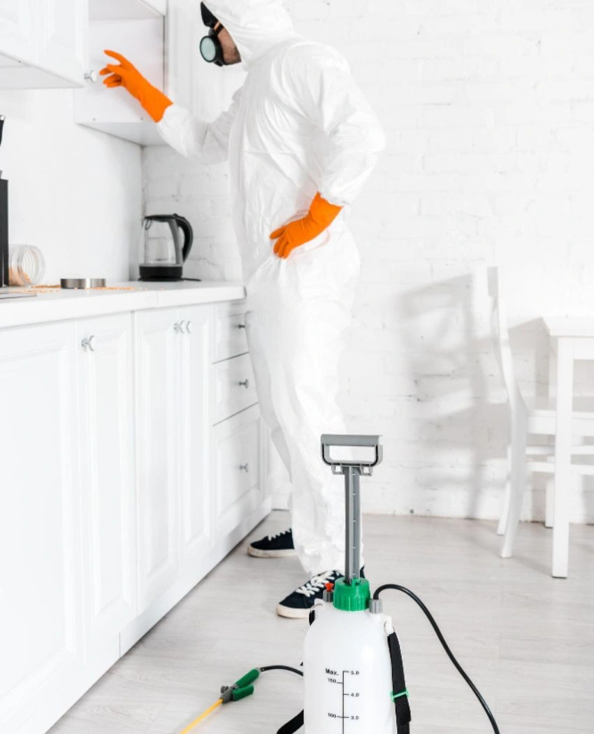 Bed Bugs Etobicoke