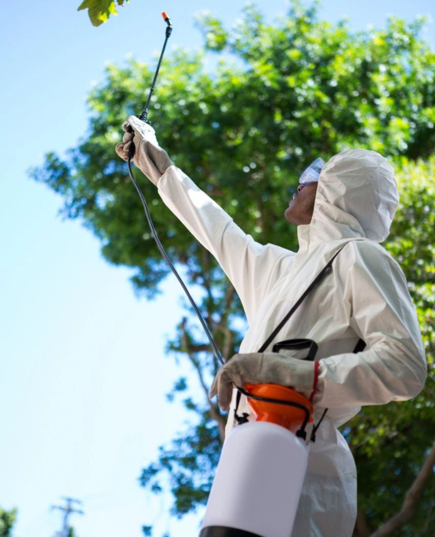 Pest Control Etobicoke
