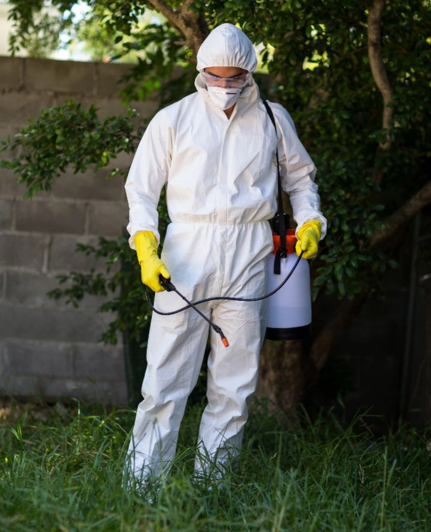 Pest Control Services Hamilton