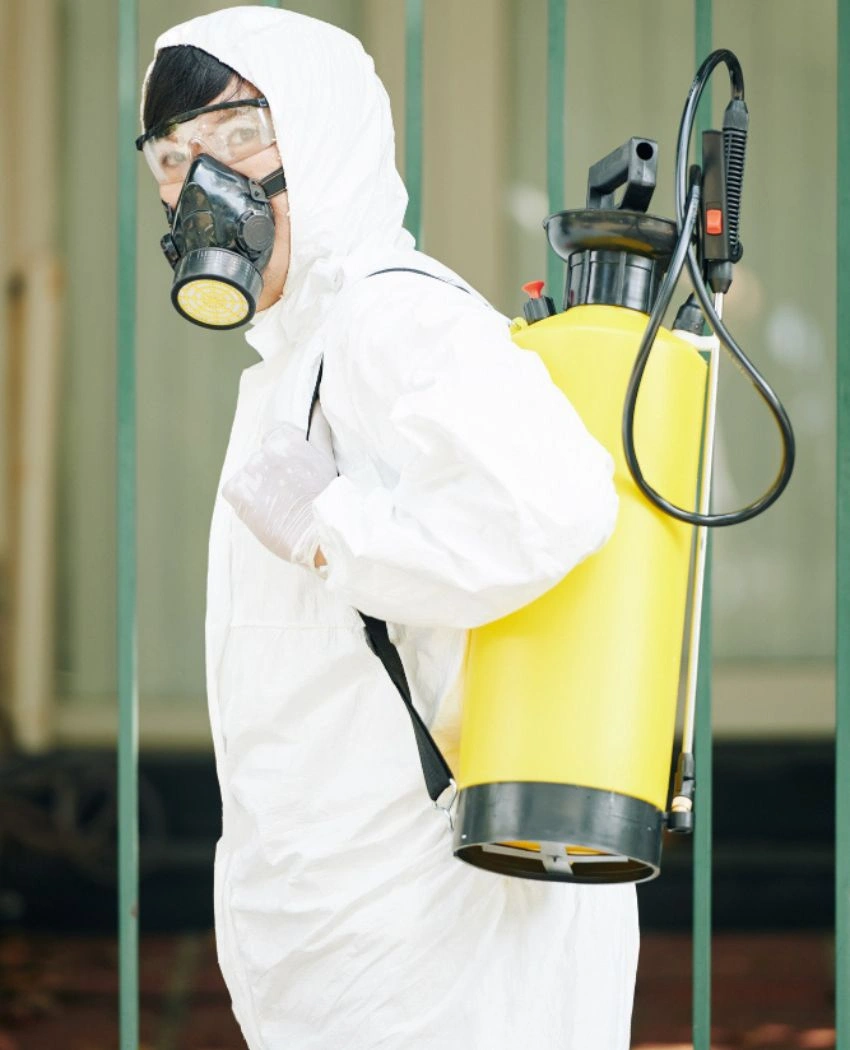 Pest Control Services Vaughan