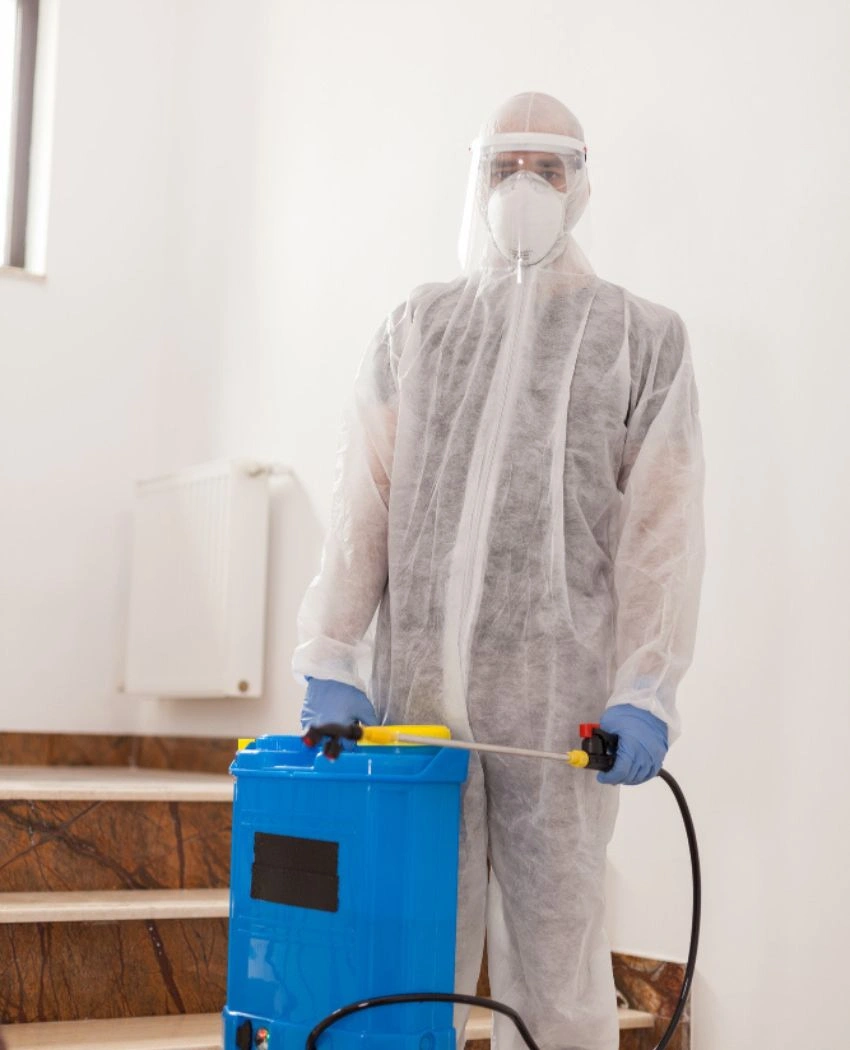 Pest Control Vaughan