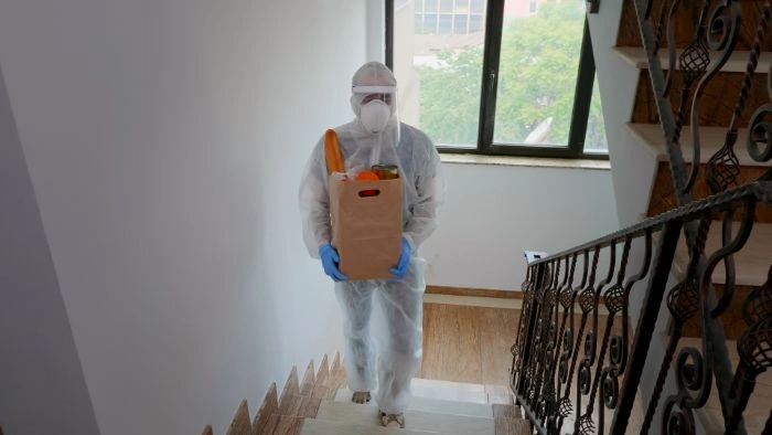 bed bug removal Brampton