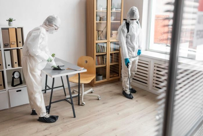 bed bug pest control Etobicoke