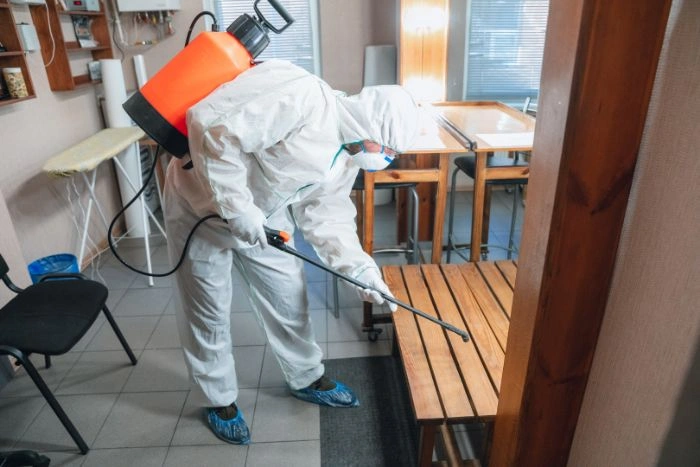 bed bug treatment Oakville