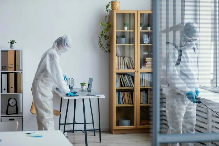 bed bug removal Vaughan