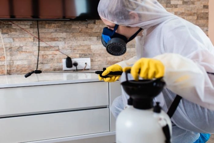 bed bug pest control Milton