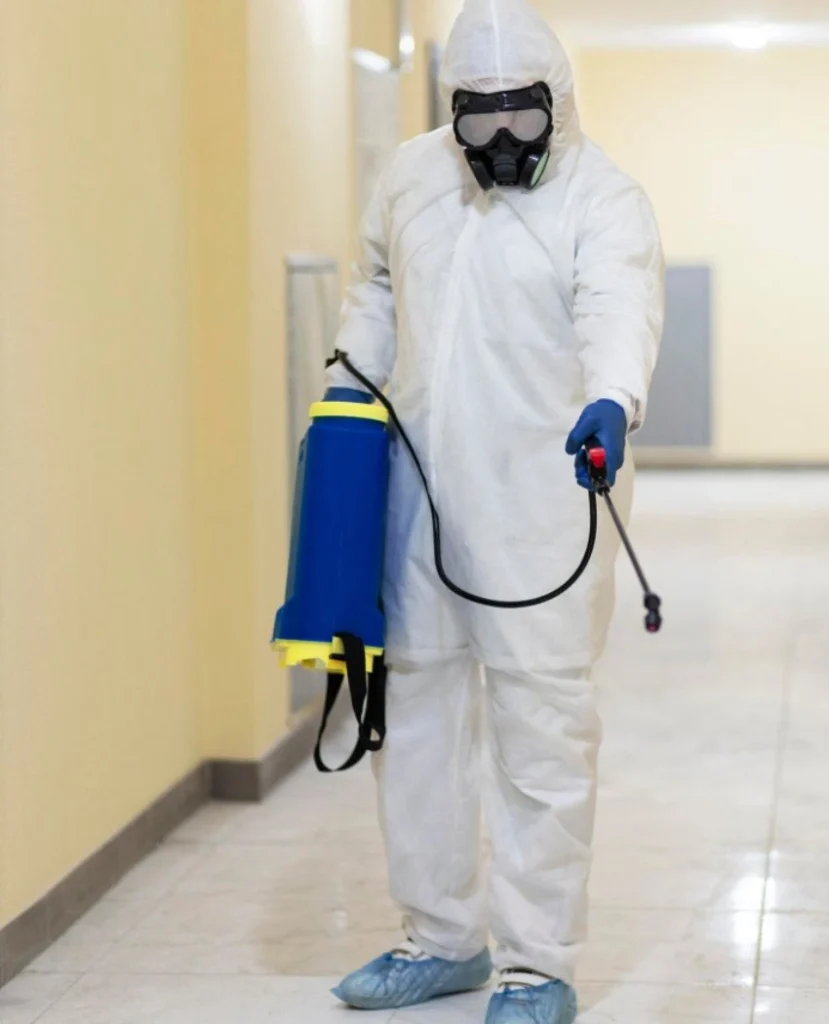 Pest Control Services