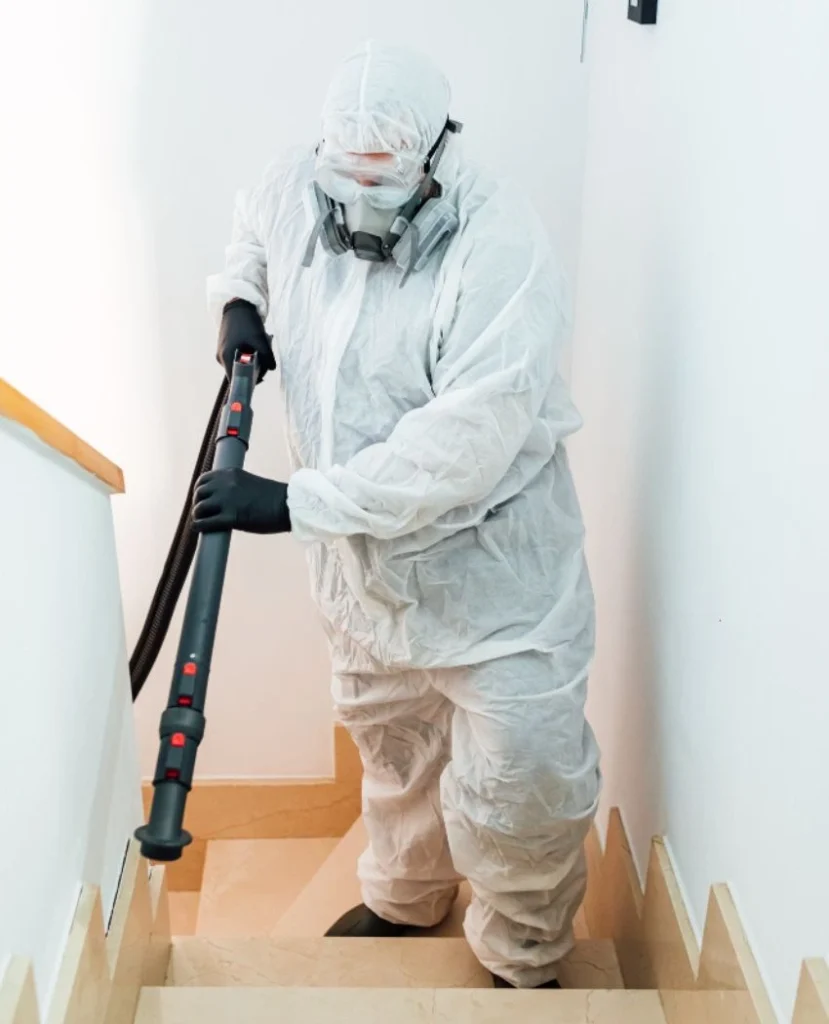 Pest Control Vaughan