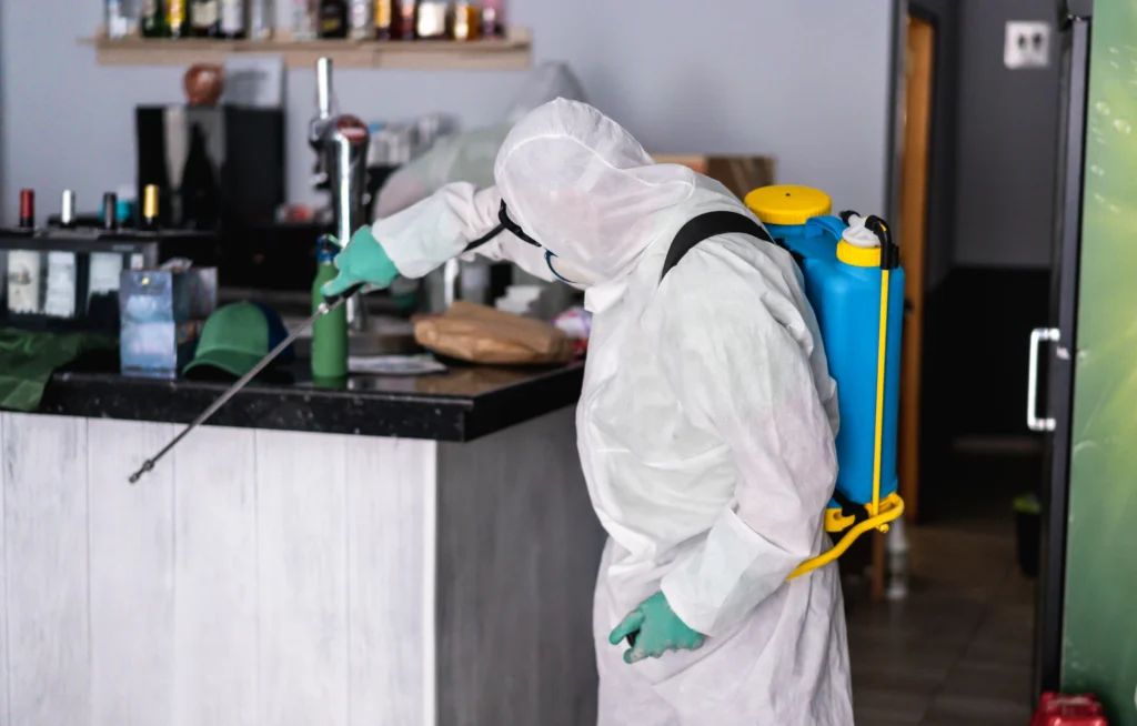 Commercial pest control technician inspecting a kitchen in Mississauga for rodent treatment
