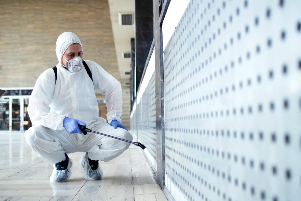 Detecting hidden pest infestation signs .webp